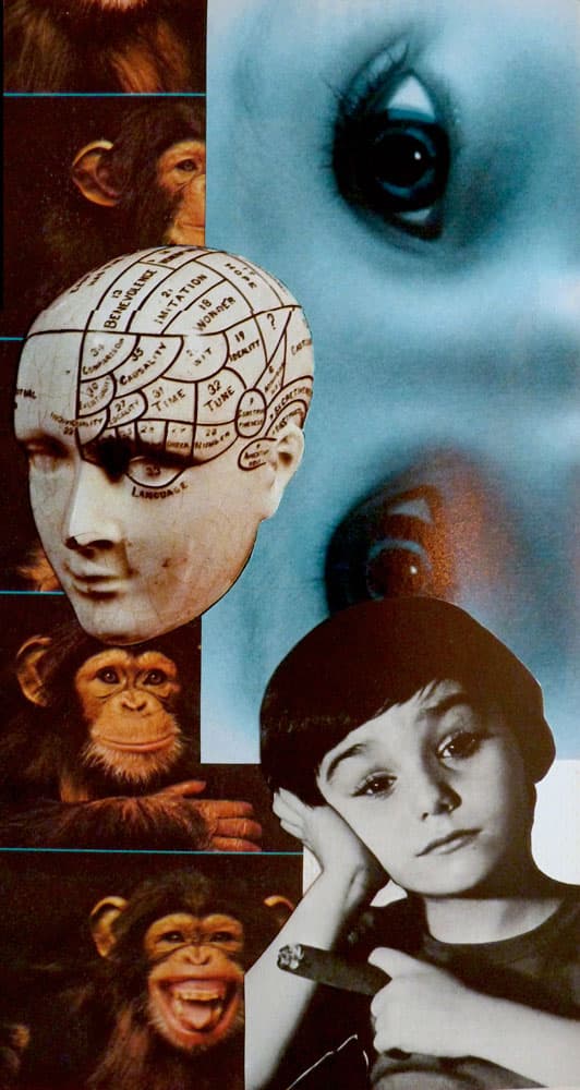 Collage 1