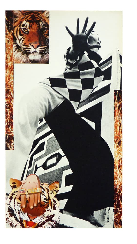 Collage 11