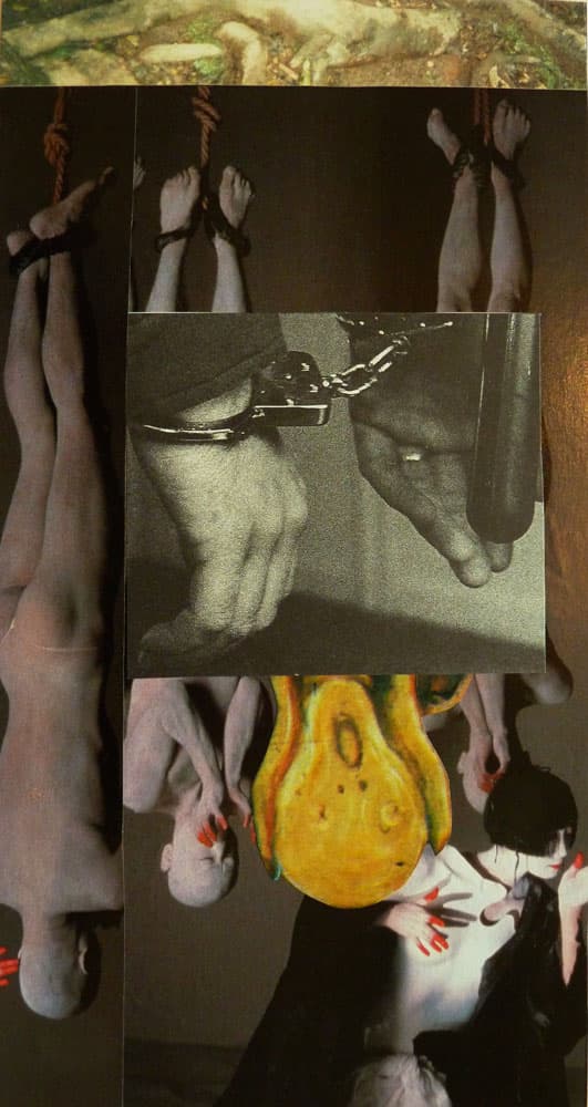 Collage 12