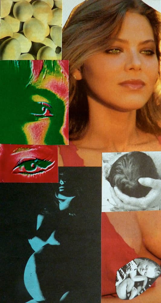 Collage 3